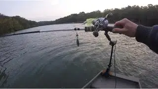 10,000 Fish Cyclebait Willow Spinnerbait Fishing