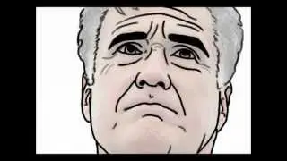 Mitt Transition