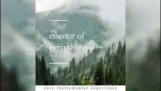 Core Instrumental Experience - Essence of Everything