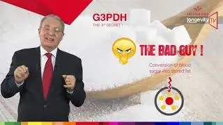 Эпизод 10 &ndash; Уильям Амзаллаг о программе Zen Bodi