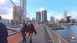 Erusmas Bridge Walking Tour |Rotterdam 