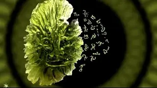 Moldavite, Dreams, Third Eye To Heart Connection #moldavite #dreams #thirdeye #heart #lightlanguage 