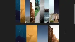 Simple Flexbox Gallery