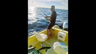 Dream Fishing Trip in Curaçao | Shark, Barracuda & Yellowfin Tuna with Deckie Dirk Curacao Fishing