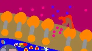 Universe  Zoom In