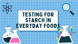 Food Science Explorations: Testing for Starch in Everyday Foods