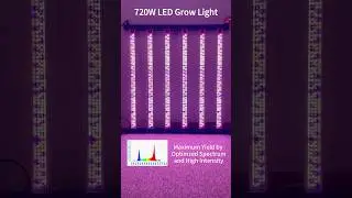720W LED Grow Light #light #ledlights #grow #led