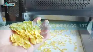 Corn Flakes Making Machine Price Cornflakes Machine Chips Manufacturing Machine Flakes Machine