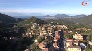 Cauro