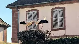 2025-04 - Autour de Saverne1
