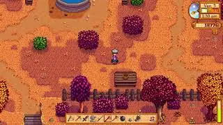 Stardew valley