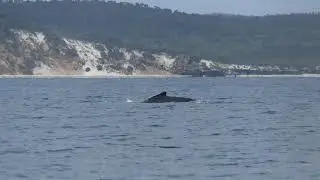 Sailing from Coongul Creek to Wathumba Creek