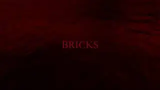 BRICKS 