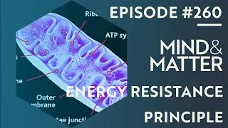 Energy Resistance Principle in Life, Healing & Disease | Martin Picard & Nirosha Murugan | 260