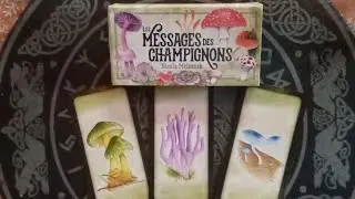 Messages des Champignons 🍄🍄🍄 + Tirage  #rewiew 