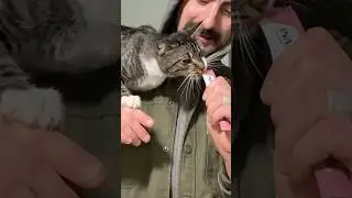 The First Cat Video Ever was Filmed WHEN??