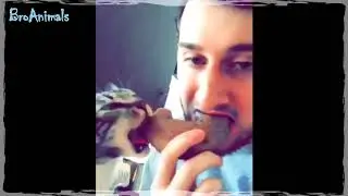 ПРИКОЛЫ С ЖИВОТНЫМИ FUN WITH ANIMALS 