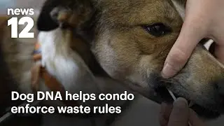 Poop tracking: NJ condo community using dog DNA to find owners who don't pick up waste  | News 12