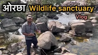 Orchha wild life sanctuary 2024 vlog #orchhadham #wildlifesanctury