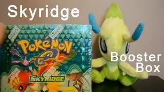 Opening a Skyridge Booster Box! Amazing pulls!