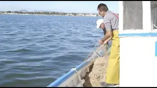 In Spain, how nutrients poisoned one of Europe's largest saltwater lagoons