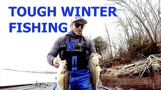 Bass Fishing 4 hour Challenge | Percy Priest Lake | Tough Conditions #bassfishing #winterfishing
