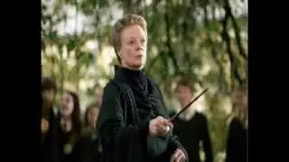 Harry Potter Character theme songs *NEW*