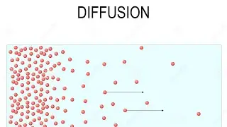 🧬 Mechanism of Transport & Short Distance Transport | Physiology Series Ep. 2 | ANONYMOUS INSTITUTE