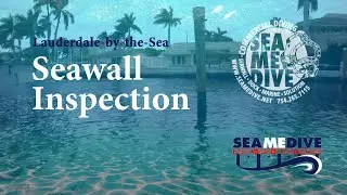 Seawall inspection at Lauderdale-by-the-Sea