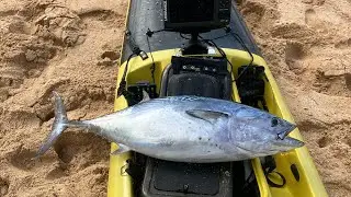 First run STEALTH FISHA 500 and PENN  SLAMMER LIVE-LINER 