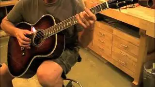 Euphonon Jumbo. New Era Guitars