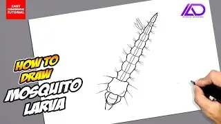 How to draw Mosquito Larva
