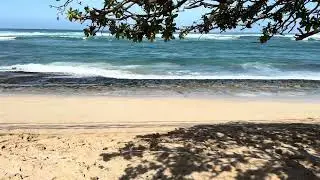 Calming Ocean Waves for Clinics | Therapeutic Beach Ambience (1 Hour)