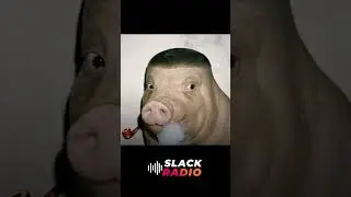 When you mix 50% human, 50% pig, and 100% confidence 🐷💨