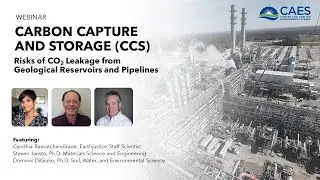 Risks and Potential Impacts from Carbon Steel Pipelines Transporting and Processing CO2, H2, CH4