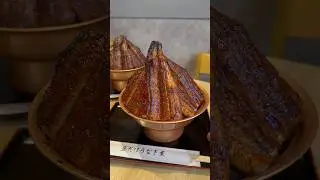 Хирудакеунагия Гигантская чаша с двумя целыми угрями подается в Нагое