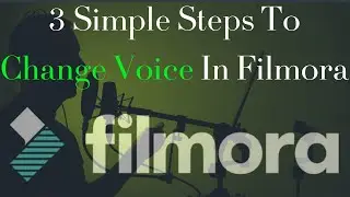 How to change voice in FILMORA.Voice changer in filmora.