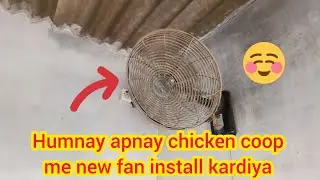 Humnay apnay chicken coop me new fan install kardiya 😍😍😍