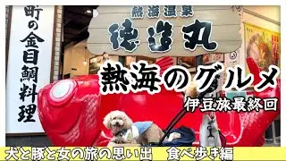 【デブ旅】お腹が空いたらご飯食べよ！カロリーオーバーは旅の至福【犬と食べ歩き】