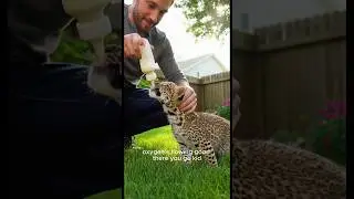 Firefighter Saves Baby Leopard #rescue