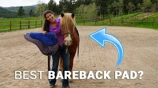 What Bareback Pad Should You Get For Horse Riding?