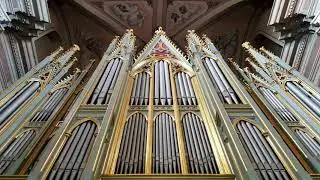 Full Kaunas Cathedral Basilica of St. Peter and St. Paul Cathedral Recital