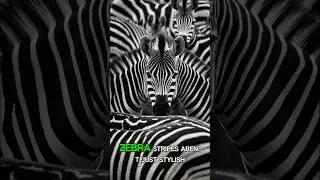Zebras&rsquo; Stripes Confuse Predators
