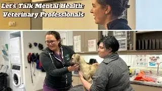 Let's Talk Mental Health: Veterinary Professionals