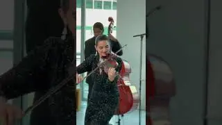 Jazz Quartet & Violinist #kiralartists