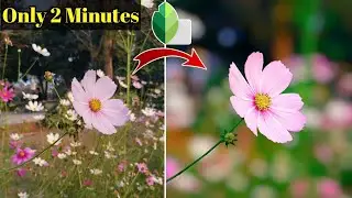 How to Blur Background in Snapseed|Photo ka Background blur Kaise kare|Background Blur Photo Editing