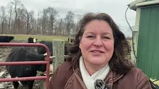 Farm Gate Repair With New Lock