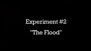 Rosemount 3051S and 3051 Reliability Test - The Flood