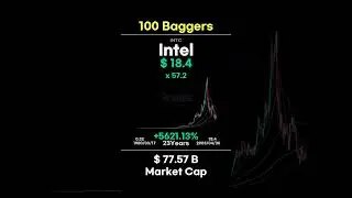 100baggers INTEL
