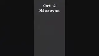 Cat & Microvan A Microvan Small in the Nest